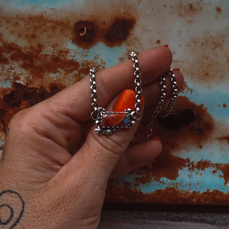 ‘Cosmic Baby Bar’ - Orange Dahlia - Pick Option