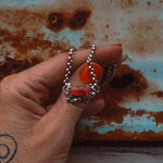 ‘Cosmic Baby Bar’ - Orange Dahlia - Pick Option