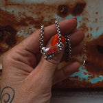 ‘Cosmic Baby Bar’ - Orange Dahlia - Pick Option