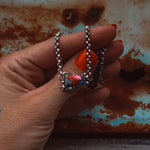 ‘Cosmic Baby Bar’ - Orange Dahlia - Pick Option