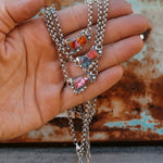 ‘Cosmic Baby Bar’ - Orange Dahlia - Pick Option